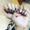 Photo of Samantha S.