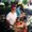 Photo of Vinh D.