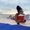Photo of Rina S.