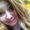 Photo of Kaylee B.
