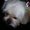 Photo of Molly S.