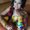 Photo of Shrishti G.