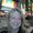 Photo of Carolynne L.