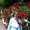 Photo of Joanne M.