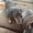 Photo of Evelyn R.