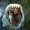 Photo of Jennifer T.