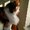 Photo of Margi C.