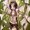Photo of Qype User (roseoc…)