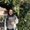 Photo of Raneem T.