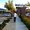 Photo of Raye C.