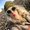 Photo of Sheryl S.