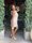 Photo of Aleysha H.