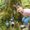 Photo of Tiphanie S.