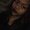 Photo of Iman G.