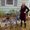 Photo of Amanda T.