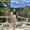 Photo of Michelle Nam Phuong L.