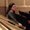 Photo of Megan R.