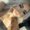 Photo of Bryanna T.
