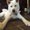 Photo of FoodDog C.