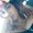 Photo of Lailuma A.