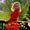 Photo of Wendy M.