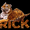 Photo of Rick M.