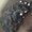Photo of Qiana D.
