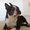 Photo of Ollie D.
