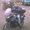 Photo of Qype User (pauloc…)