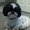 Photo of Debi S.
