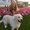 Photo of Sharla J.