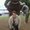 Photo of Donna C.