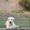 Photo of Winry L.
