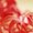 Photo of Liba K.