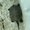 Photo of Name N.