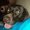 Photo of Samantha L.