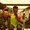 Photo of Carlos P.
