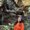 Photo of Fernanda R.