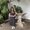 Photo of Kellyann M.