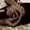 Photo of Aparna K.