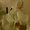 Photo of Qype User (tatian…)
