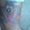 Photo of Mumina A.