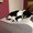 Photo of Cherie S.