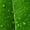 Photo of Ashot N.
