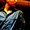 Photo of Navi G.