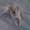 Photo of Edmon A.
