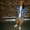 Photo of Kae D.