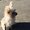 Photo of Lyla c.
