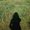 Photo of Linlin L.