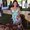 Photo of Jeannine A.